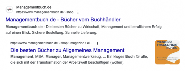 Screenshot aus der Google-Suchergebnisseite zum Suchbegriff "management buch", Host Group bzw. Indented Results von managementbuch.de