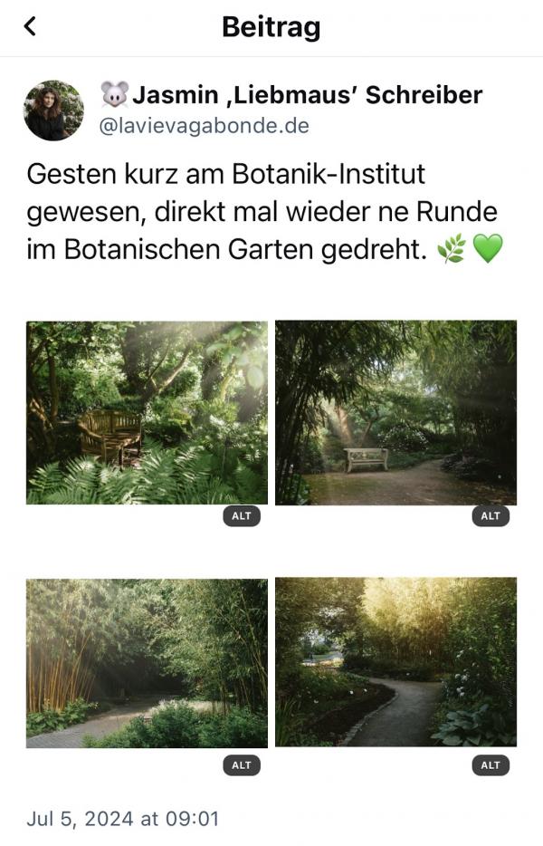 Bluesky-Post der Userin Jasmin "Liebmaus" Schreiber mit dem Handle @laviegagebonde.de vom 05.07.2024, Text: "Gestern kurz am Botanik-Institut gewesen, direkt mal wieder ne Runde im Botanischen Garten gedreht." und Vorschau von vier Fotos, die sehr viel grüne Blätter beinhalten. In der rechten Ecke jedes Foto-Thumbnails ist ein kleines "ALT" Label.