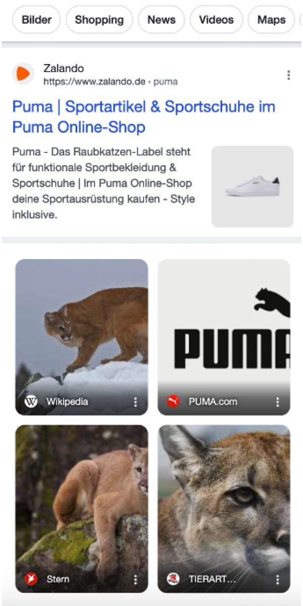 Suchergebnisseite von der Suchanfrage "puma" mit Zalando Snippet und Bildern des Tieres Puma sowie dem Markenlogo von Puma