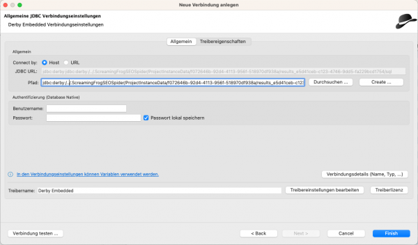 Den Verbindungsstring für die Derby-Datenbank müssen wir dann aus der Ziwschenablage einfügen