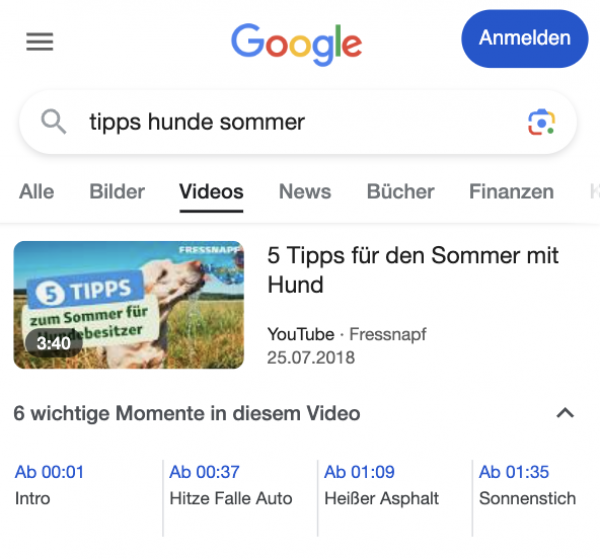 Erstes Videosuchergebnis bei Google zu "tipps hunde sommer". Man sieht einen beigen Hund der aus einer Wasserflasche trinkt. Es werden 5 Tipps für den Sommer mit Hund angeteasert. 